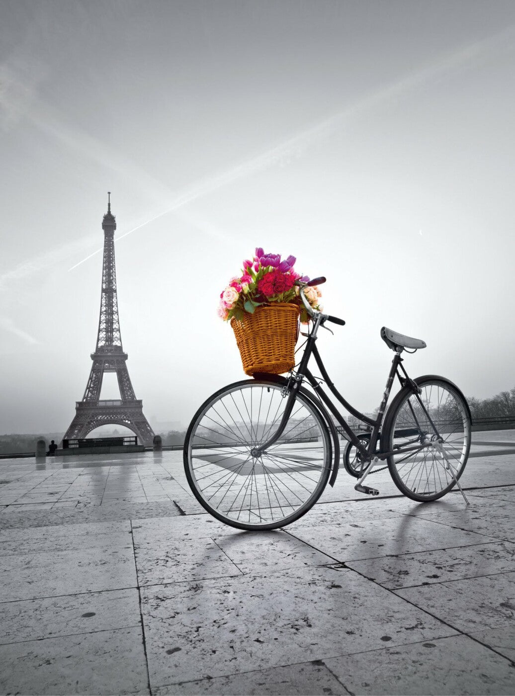 Puzzle Romantic Promenade in Paris - 500 Pcs