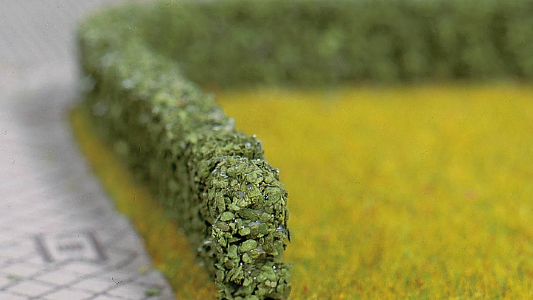Sebe Verde Escuro